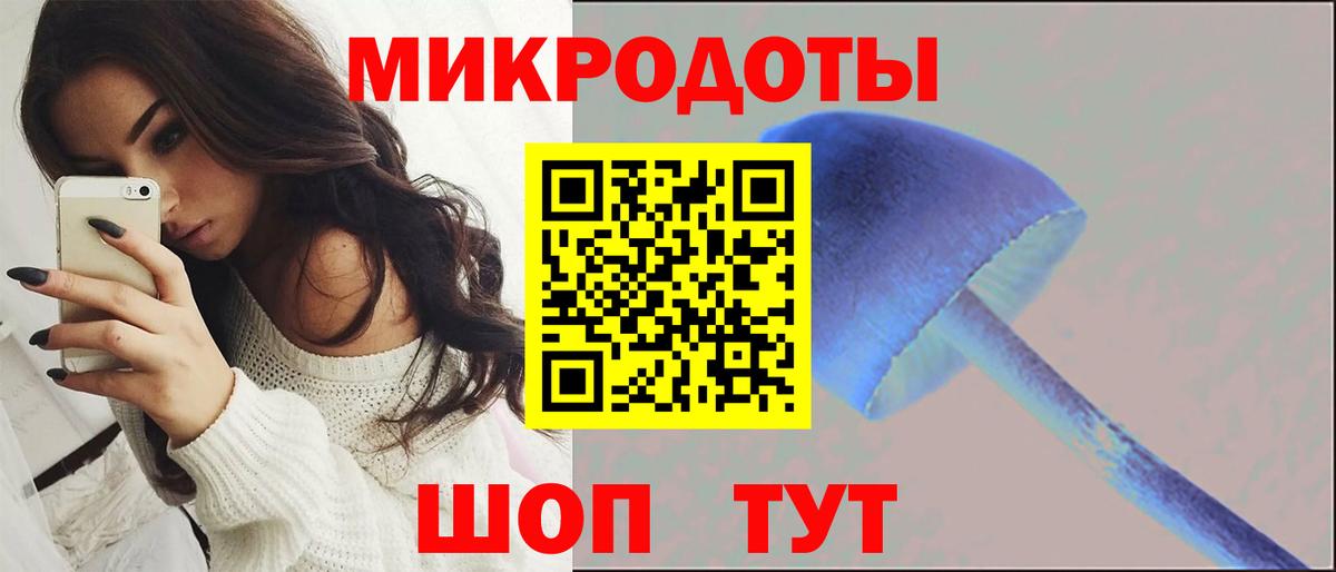 Галлюциногенные грибы прущие грибы Муром